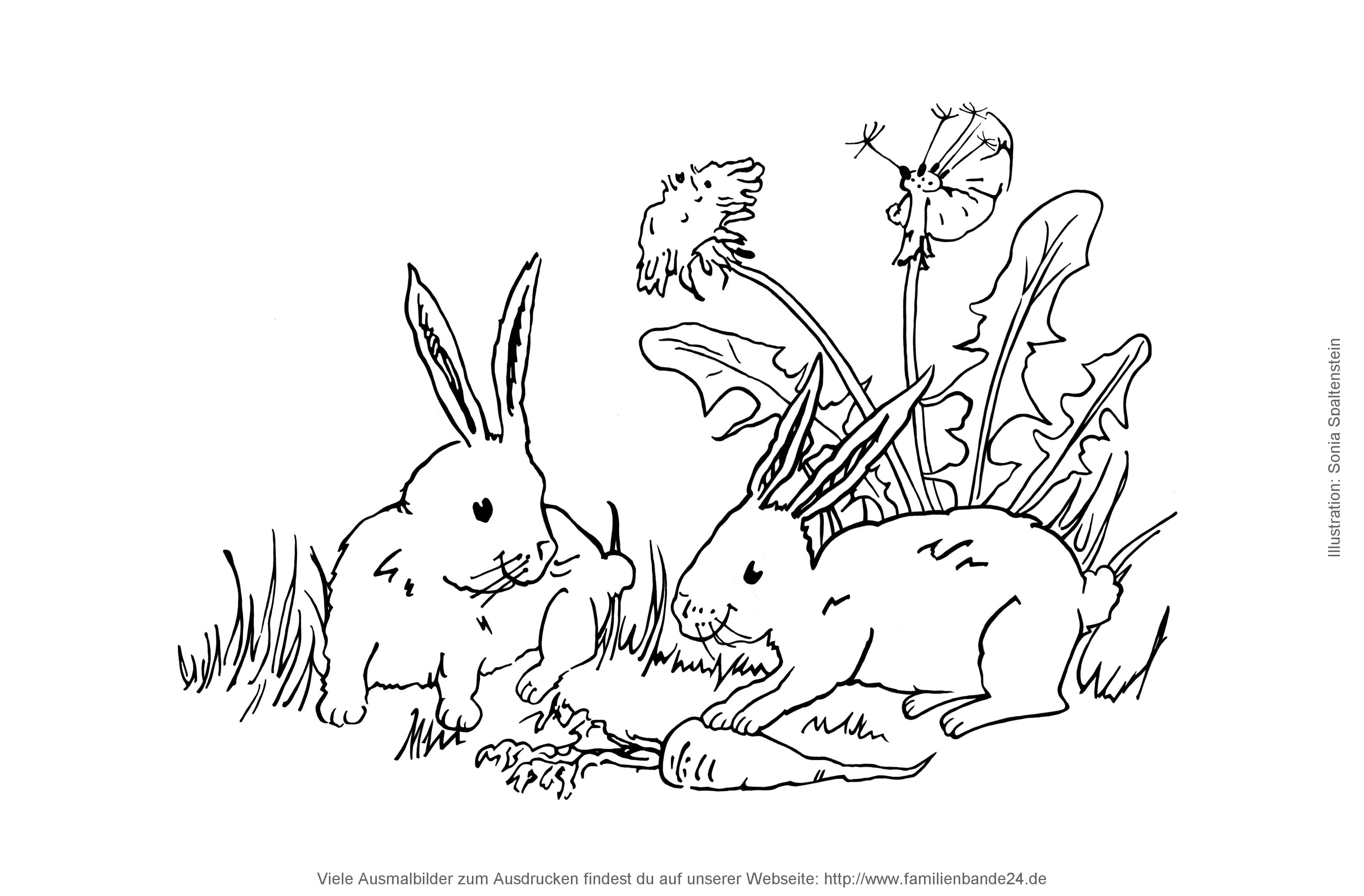 Illustration Ausmalbilder: Bauernhof
