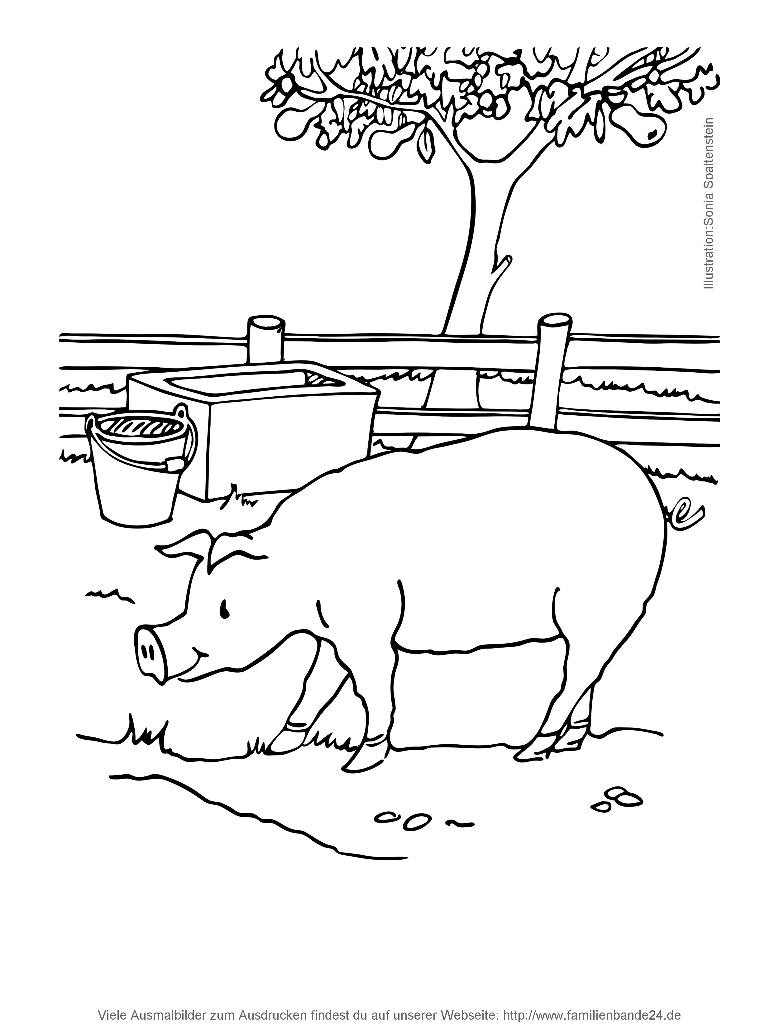 Illustration Ausmalbilder: Bauernhof