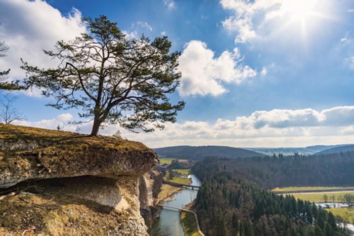 Vorschaubild zu Familienurlaub in Oberschwaben