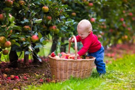 Teaserbild zu Ein kindersicherer Garten