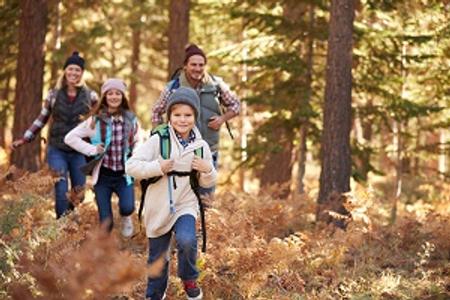 Teaserbild zu Schöner wandern mit Kindern